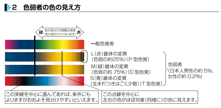 ＜色の見え方＞
