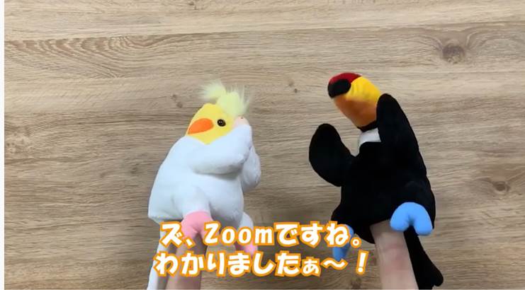 Zoomの使い方を分かりやすく動画で紹介
