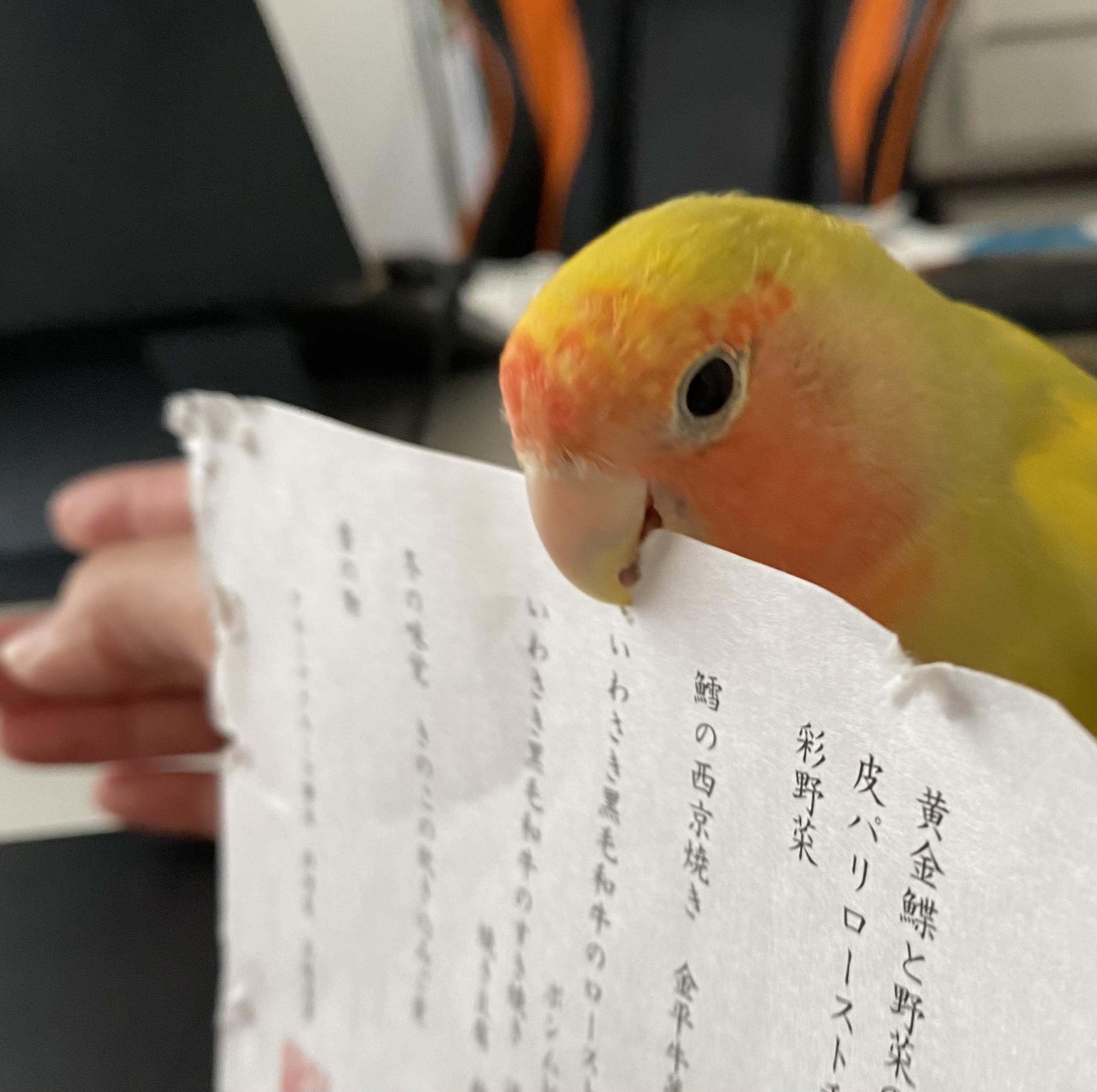 kintoneの改修