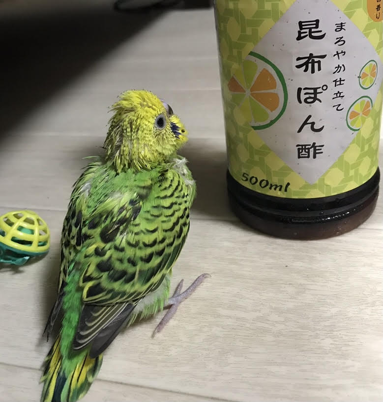 kin