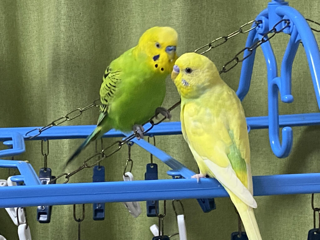 kintoneプラグイン