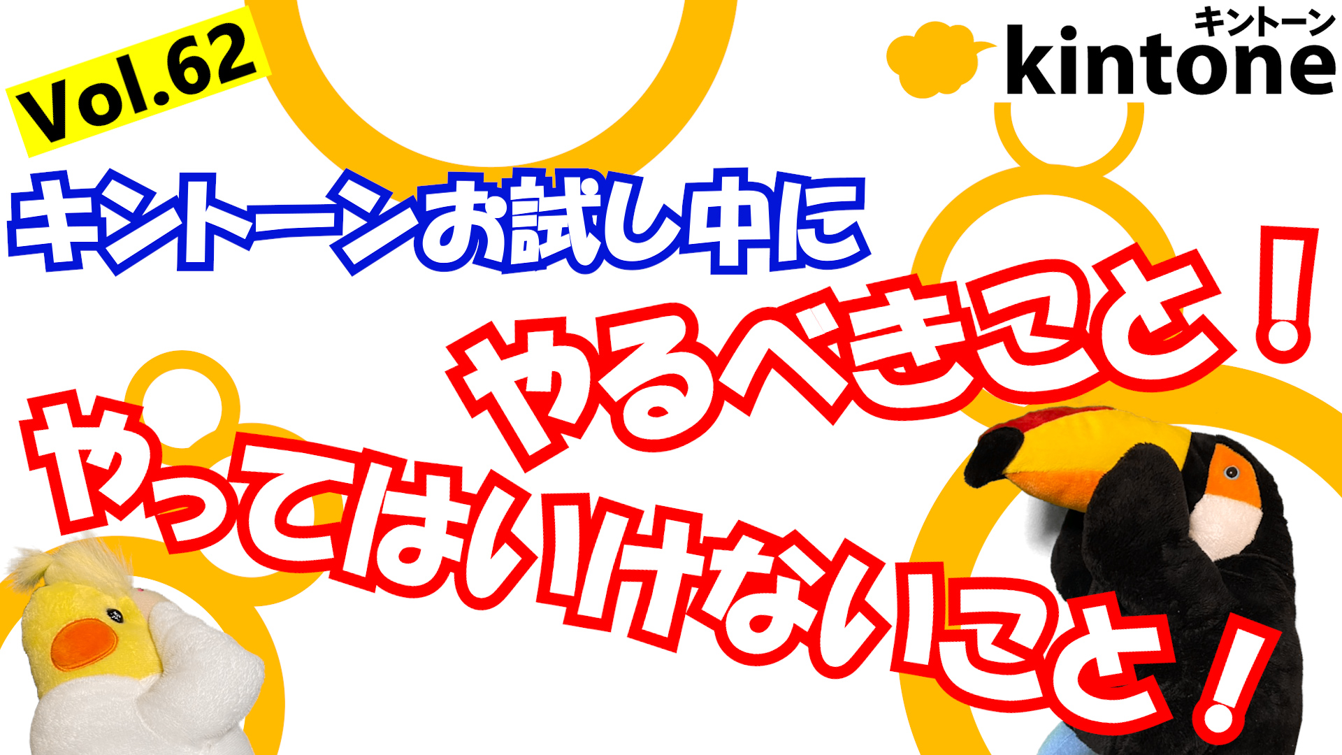 【前編】kintoneコンサルが執筆するお試し期間でやるべきコト!【動画】