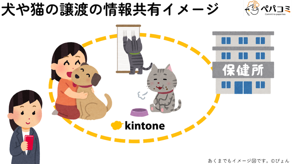43 犬や猫の収容及び譲渡業務(保健所)