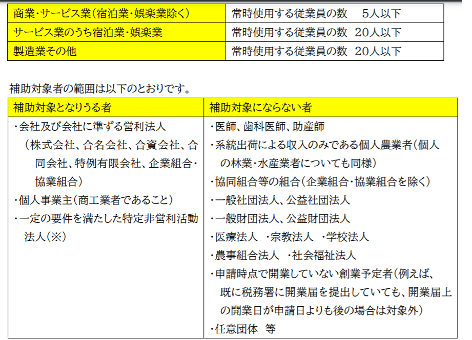小規模事業者持続化補助金リスク感染型